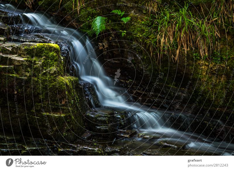 Creek with waterfall in forest near Ullapool in Scotland Brook Movement Energy Renewable Flow River Peaceful Fresh Healthy Great Britain Background picture