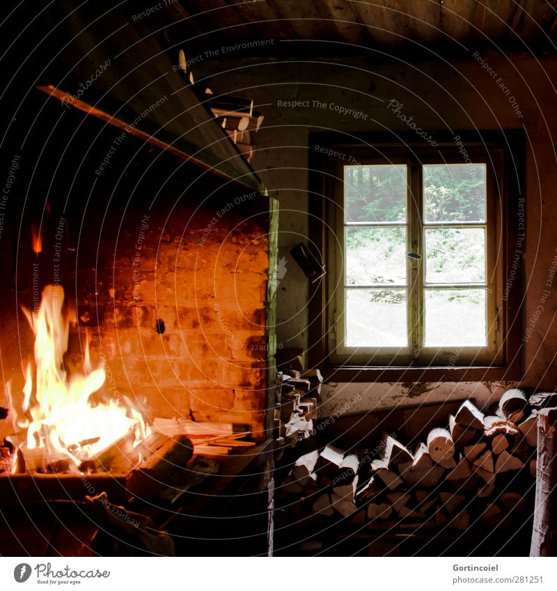 forest kitchen Forest Hut Dark forest hut Kitchen Stove & Oven Fireplace Firewood Window Window transom and mullion Colour photo Interior shot Light