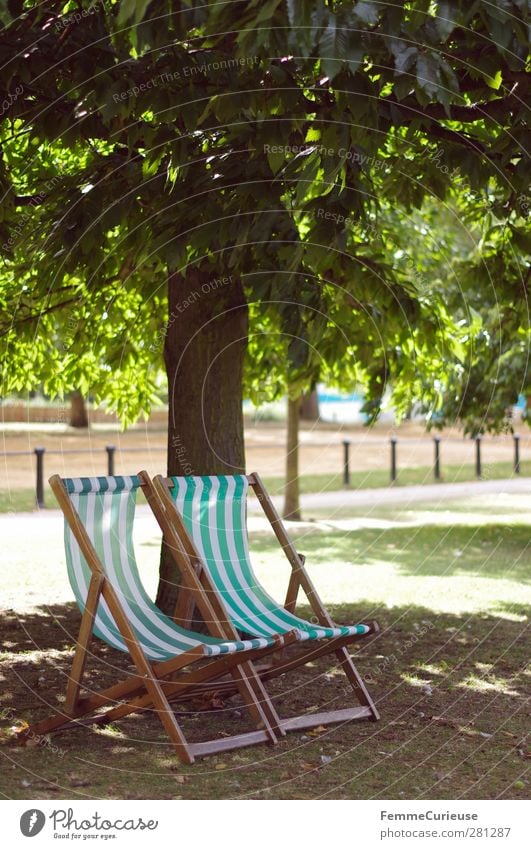 TiMe To ReLaX. Leisure and hobbies Summer vacation Sunbathing Contentment Relaxation Nature Hyde Park Deckchair Green White Sunbeam Tree Shadow Autumnal Fence