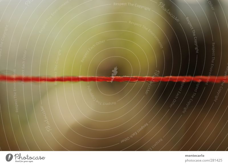 The hot wire Electrified fence Fence Wire Metal Plastic Thin Authentic Near Round Red Colour photo Multicoloured Exterior shot Close-up Detail