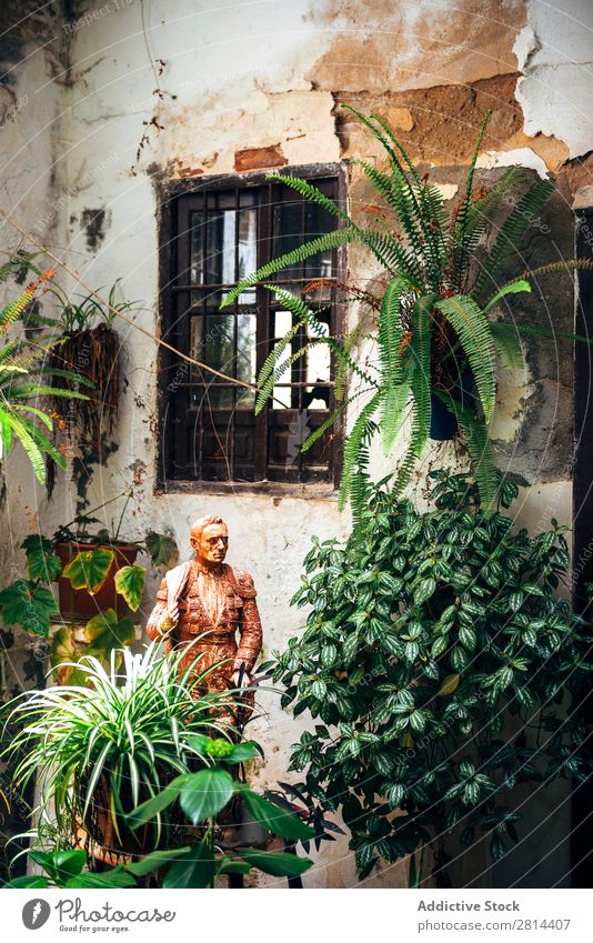 Typical Andalusian patio with fountain and numerous plants geraniums and carnations on the walls. Cordoba, Spain Home Florida Interior design Courtyard Garden