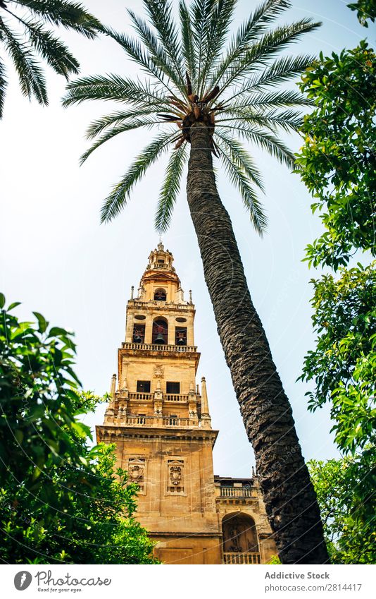 Exterior of The Cathedral and former Great Mosque of Cordoba Mezquita Interior design Islam Spain Building World heritage islamic Decoration Arch Stone White