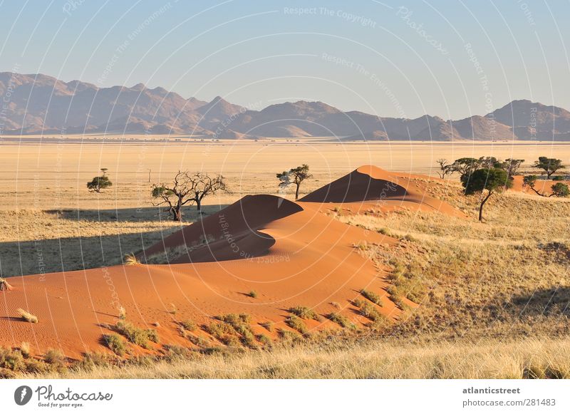 Sand dunes of Namibia Nature Landscape Earth Cloudless sky Sunrise Sunset Beautiful weather Warmth Drought Grass Mountain Desert Namib Naukluft Park Africa