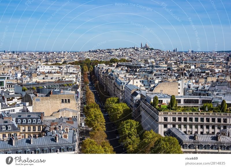 View of the Basilica Sacre-Coeur in Paris, France Relaxation Vacation & Travel Tourism City trip House (Residential Structure) Clouds Autumn Tree Town