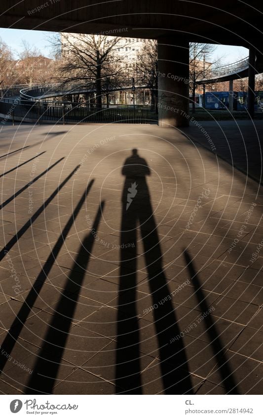 under the rheinkniebrücke Leisure and hobbies Human being Adults Life 1 Beautiful weather Duesseldorf Town Places Bridge Manmade structures Architecture