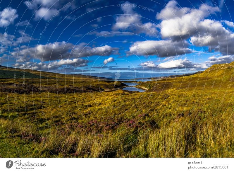 Landscape near Loch Eriboll near Durness in Scotland Atlantic Ocean Flower turniness Loneliness Great Britain Heather family Highlands Sky Background picture