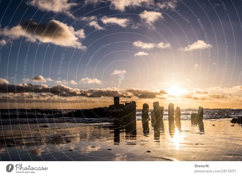 classic Environment Nature Landscape Sand Water Sky Clouds Sun Sunrise Sunset Sunlight Beautiful weather Coast Baltic Sea Ocean Blue Yellow Black White