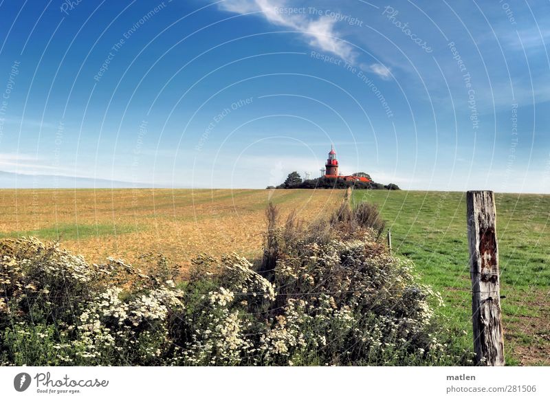 neighbor Landscape Plant Sky Clouds Summer Weather Beautiful weather Grass Bushes Meadow Field Navigation Blue Yellow Green Lighthouse Silver lining