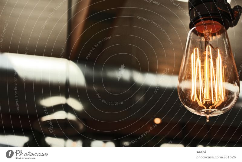 blubb blubb bulb Lamp Old Bright Design Electric bulb Filament Light Colour photo Subdued colour Interior shot Close-up Day Contrast Light (Natural Phenomenon)