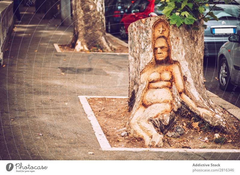 Detail of Rome city, Italy. Woman sculpture in a tree Street Close-up Old Vintage European Exterior shot Ancient Italian Vacation & Travel Vantage point Town