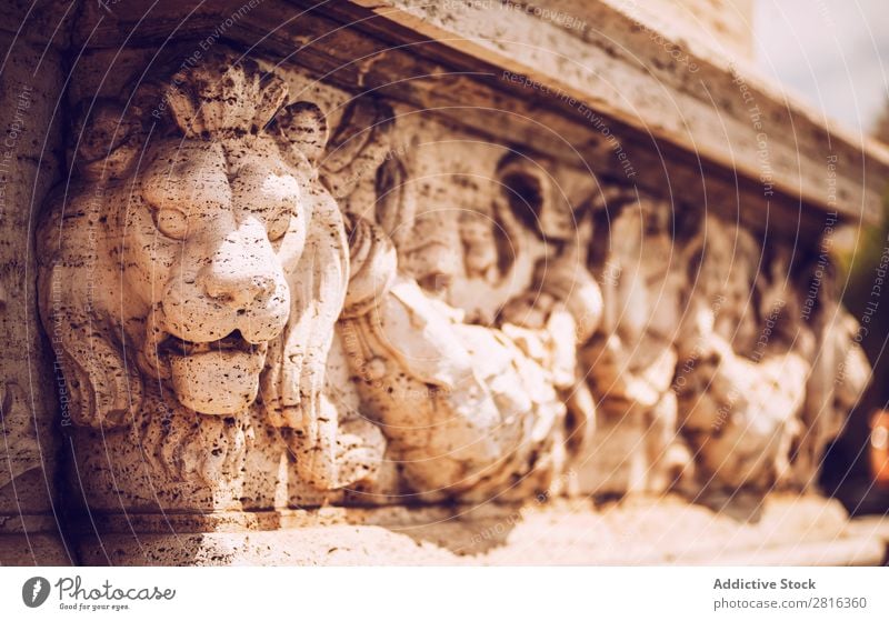 Street detail in Rome, Italy Close-up Old Vintage Detail European Exterior shot Ancient Italian Destination Vacation & Travel Vantage point Town Landmark