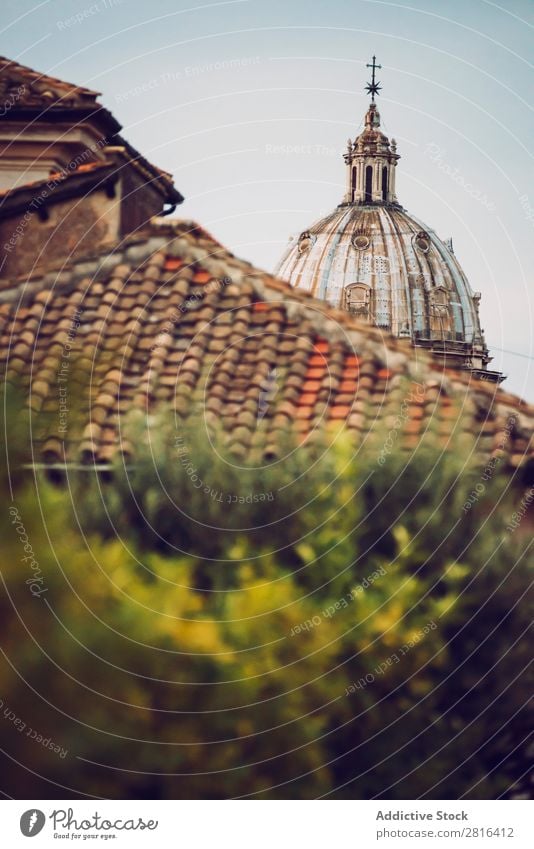 Detail of Rome city, Italy. Roof and church Street Close-up Old Vintage European Exterior shot Ancient Italian Vacation & Travel Town Landmark Culture Roman