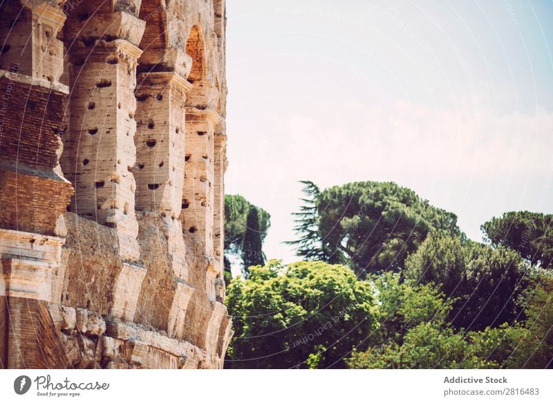 Colosseum close-up detail, Rome, Italy italia closeup empire italian historical stone rome white travel italy sunrise archeology european landmark culture