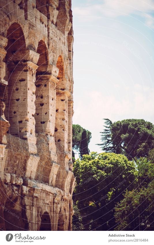 Colosseum close-up detail, Rome, Italy italia Close-up Empire Italian historical Stone White Vacation & Travel Sunrise Archeology European Landmark Culture