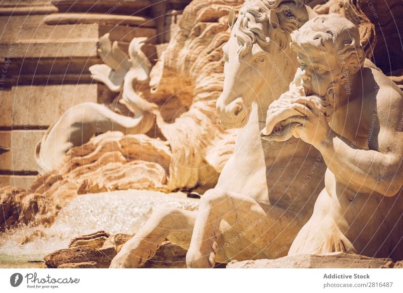 Detail of Fontana di Trevi, Rome, Italy trevi Fountain roma tour Italian Art European Monument fontana bernini Building Shell Classic Stone tritons Sculpture