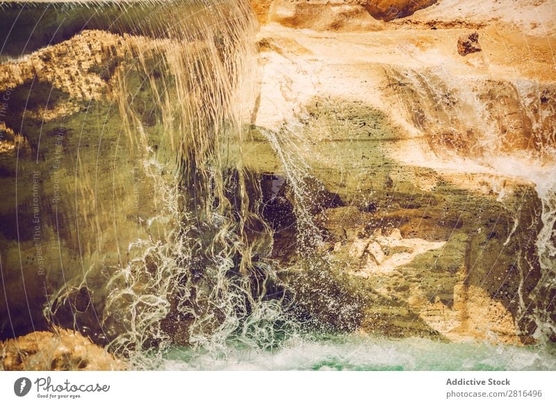 Detail of Fontana Di Trevi, Rome, Italy trevi Fountain roma tour Italian Art European Monument fontana bernini Building Shell Classic Stone tritons Sculpture