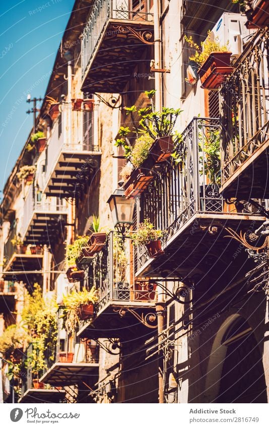 City view detail of Palermo city, Sicily, Italy Street Architecture Characteristic Culture Balcony Ancient quattro canti Italian Sculpture Vacation & Travel