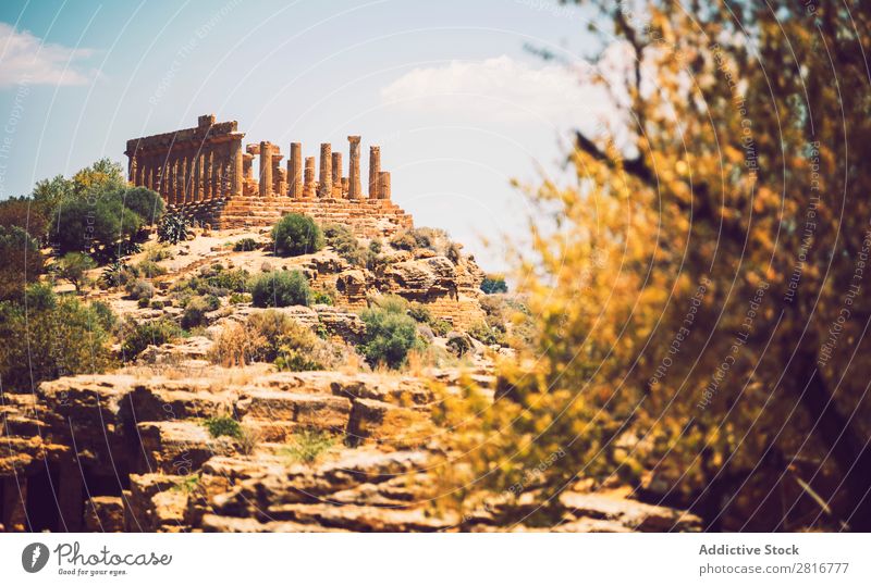 View of the Valley of the Temples in Agrigento, Sicily, Italy Greek sicilia hellenistic Stone Vacation & Travel Sicilian Landmark Column doric touristic God