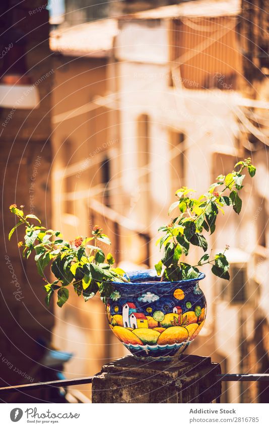 Detail view of typical urban sicilian decoration in Sicily, Italy. Texture background Architecture Europe House (Residential Structure) Mediterranean Art Street