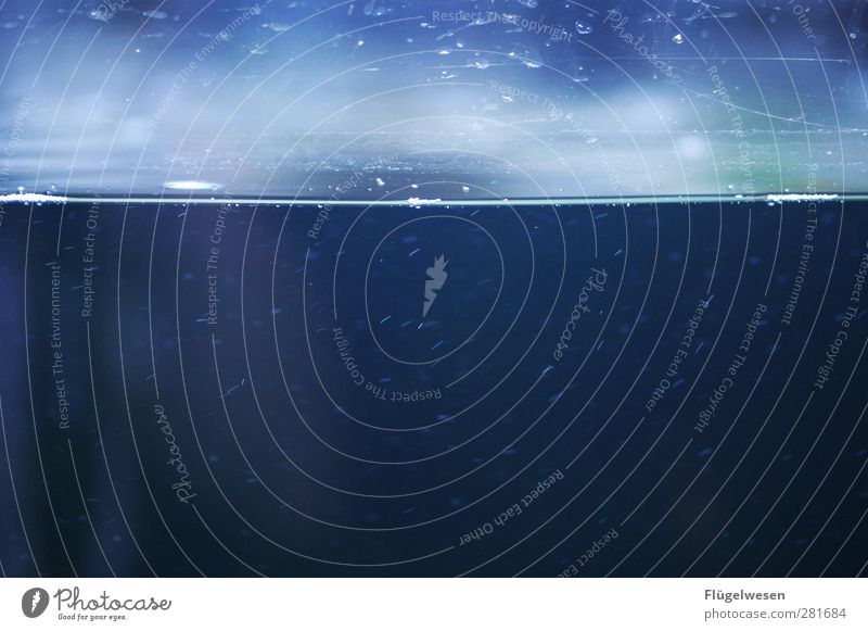 Upper edge of lower lip Waves Coast Lakeside River bank North Sea Baltic Sea Ocean Pond Brook Aquarium Swimming & Bathing Cold Water Waterfall Whirlpool