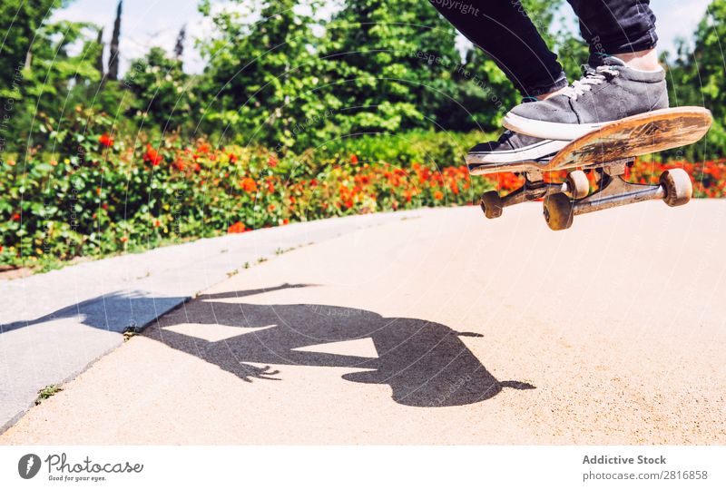 Skateboarder woman practicing ollie at park asian Action Exterior shot Sunlight Ramp Park Skateboarding committed determined Movement Human being 1 Woman Energy