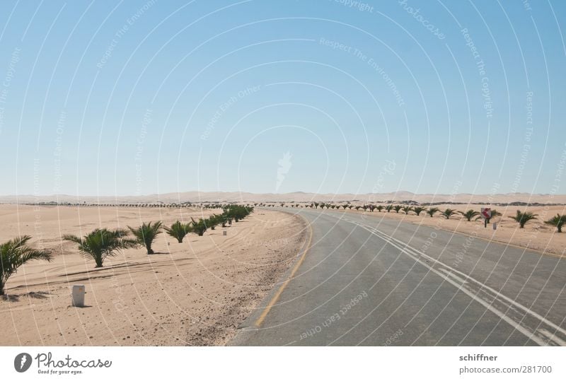 beyond the horizon Environment Nature Landscape Warmth Drought Desert Dry Street nowhere Lanes & trails Far-off places Palm tree Namib desert Namibia Infinity