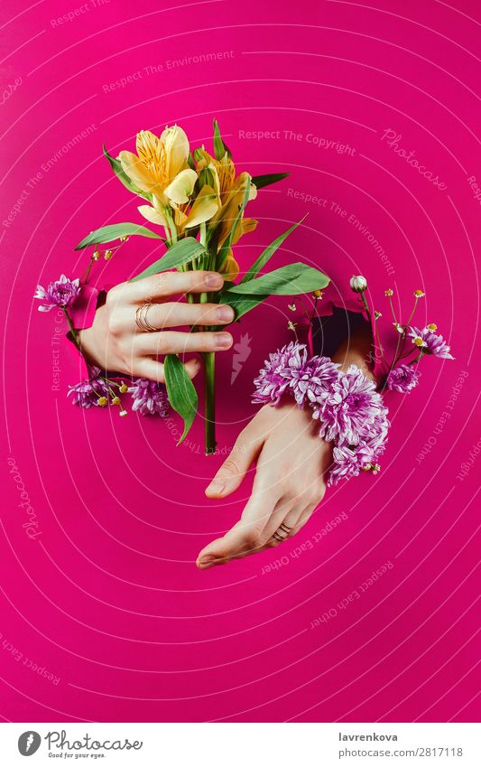 Hands through paper holding alstroemerias and flower bracelet Aromatic Beautiful Beauty Photography Flower Bottle Bouquet Bracelet Bud Conceptual design Fashion