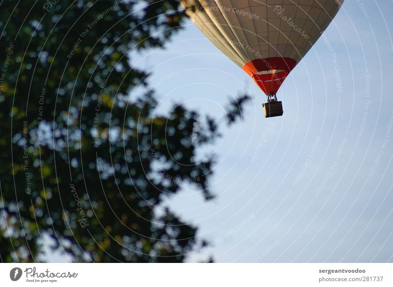 Balloon ride from 159,- EUR Trip Hot Air Balloon Balloon flight Sports Closing time Plant Sky Cloudless sky Beautiful weather Tree Aviation Aircraft Discover