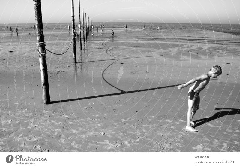 ________ Human being Boy (child) Body 1 Crowd of people 8 - 13 years Child Infancy Nature Earth Sand Water Horizon Sunlight Summer Beautiful weather Beach