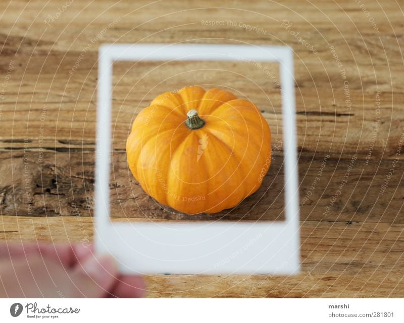 pumpkin season Food Vegetable Nutrition Eating Orange Pumpkin Hallowe'en Polaroid Frame Pumpkin time Pumpkin plants Pumpkin soup Colour photo Interior shot