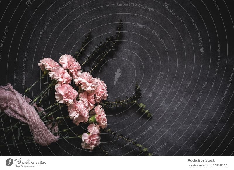 Flowers on black background. Flat lay, top view Background picture Love Pink carnations Consistency Blossom leave Gift valentine Natural Floral Bouquet Birthday