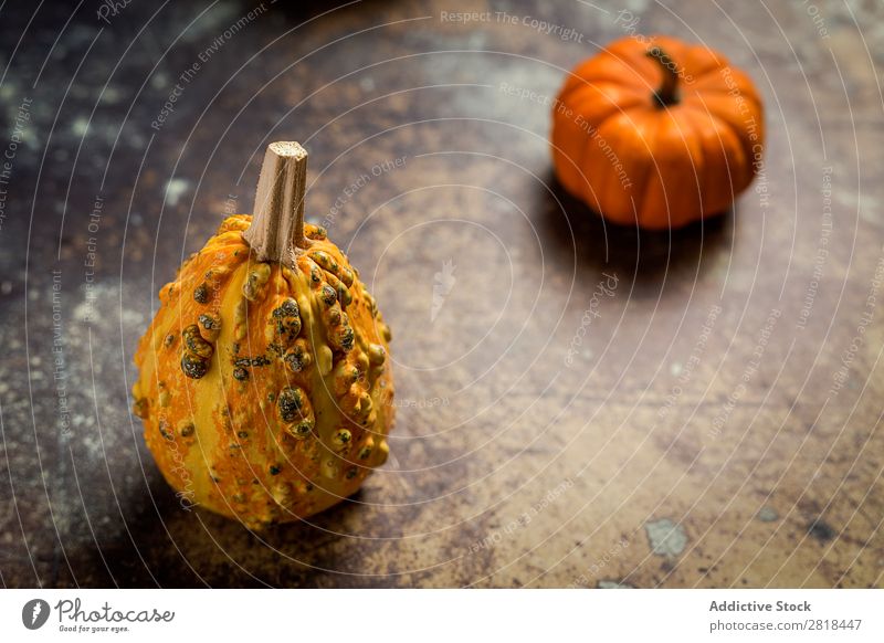 Halloween decoration background Hallowe'en Background picture Autumn Pumpkin Spider Decoration Fear Wood Dark Object photography Night Veal Orange Costume