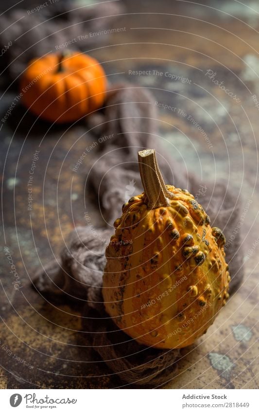 Halloween decoration background Hallowe'en Background picture Autumn Pumpkin Spider Decoration Fear Wood Dark Object photography Night Veal Orange Costume