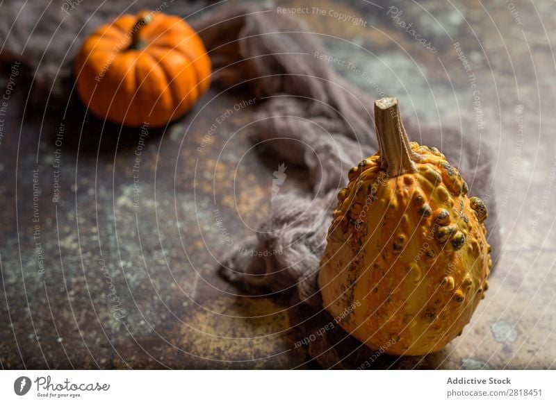 Halloween decoration background Hallowe'en Background picture Autumn Pumpkin Spider Decoration Fear Wood Dark Object photography Night Veal Orange Costume