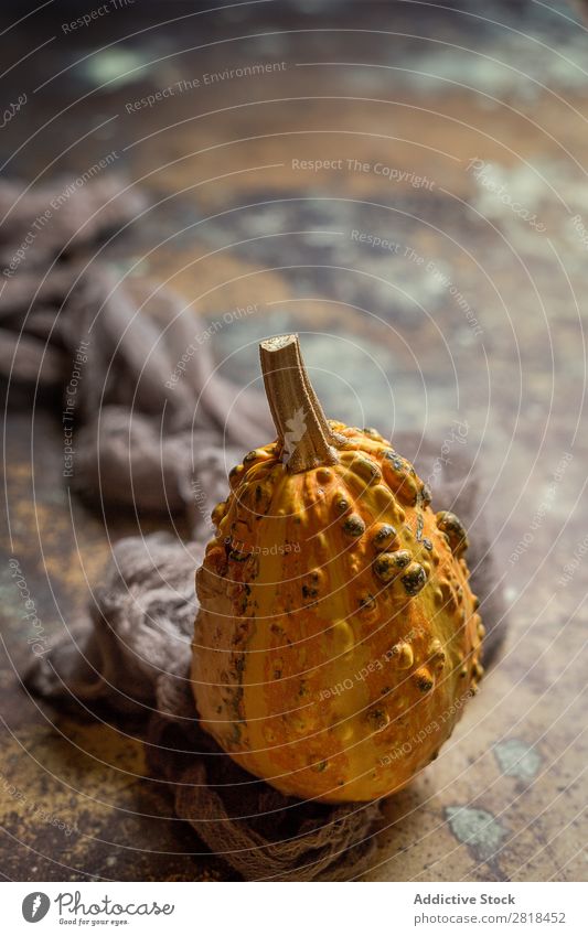 Halloween decoration background Hallowe'en Background picture Autumn Pumpkin Spider Decoration Fear Wood Dark Object photography Night Veal Orange Costume