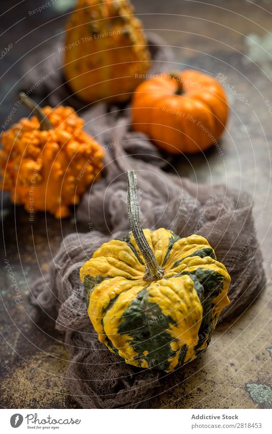 Halloween decoration background Hallowe'en Background picture Autumn Pumpkin Spider Decoration Fear Wood Dark Object photography Night Veal Orange Costume