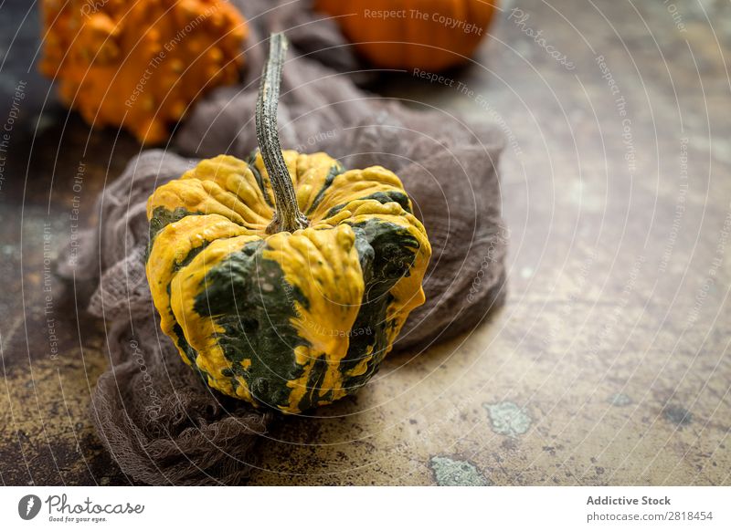 Halloween decoration background Hallowe'en Background picture Autumn Pumpkin Spider Decoration Fear Wood Dark Object photography Night Veal Orange Costume