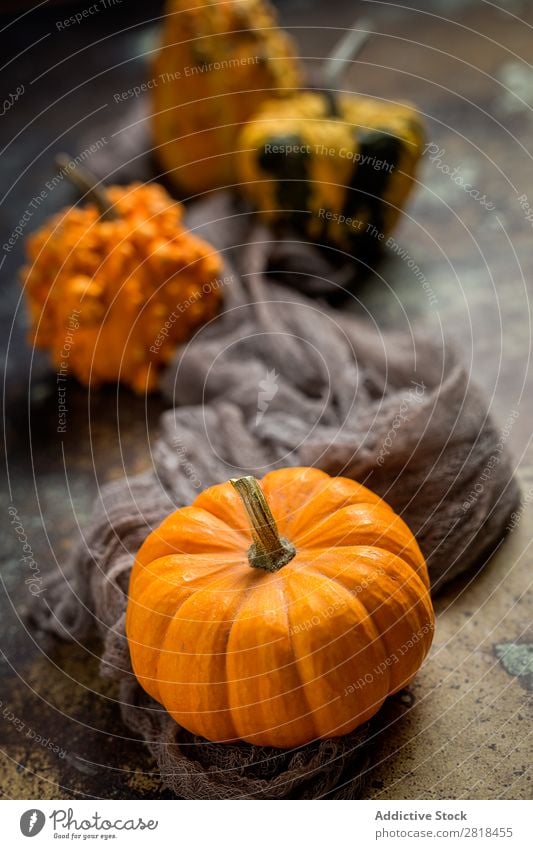 Halloween decoration background Hallowe'en Background picture Autumn Pumpkin Spider Decoration Fear Wood Dark Object photography Night Veal Orange Costume