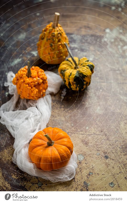 Halloween decoration background Hallowe'en Background picture Autumn Pumpkin Spider Decoration Fear Wood Dark Object photography Night Veal Orange Costume