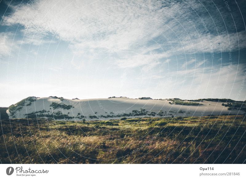 dune Environment Nature Landscape Plant Animal Sky Clouds Sun Sunrise Sunset Sunlight Summer Beautiful weather Grass Bushes Coast Beach North Sea Ocean Island