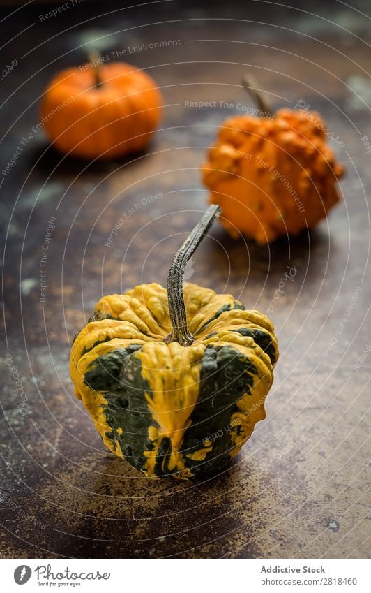 Halloween decoration background Hallowe'en Background picture Autumn Pumpkin Spider Decoration Fear Wood Dark Object photography Night Veal Orange Costume