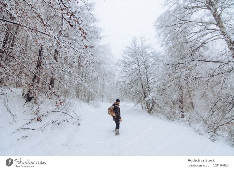 Tourist with backpack in snowy forest Nature Forest Winter Snow traveller Backpack Walking Street Cold Landscape White Frost Tree Seasons Scene Beautiful