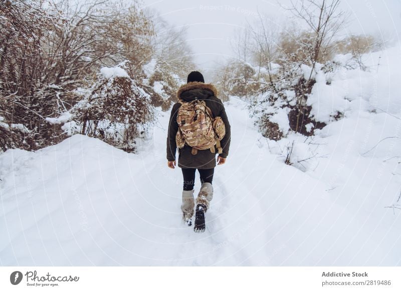 Tourist with backpack in snowy forest Nature Forest Winter Snow traveller Backpack Walking Street Cold Landscape White Frost Tree Seasons Scene Beautiful