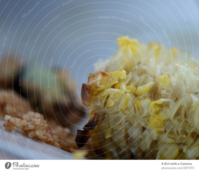 gnawed off ... Food Corn cob Maize Nutrition Organic produce Vegetarian diet Diet Healthy Eaten Barbecue (event) Vegetable Subdued colour Exterior shot Close-up