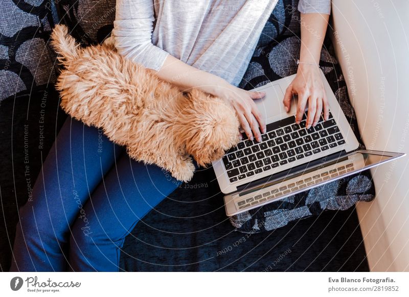 Cute toy poodle with his young owner at home Lifestyle Joy Happy Beautiful House (Residential Structure) Sofa Cellphone PDA Computer Notebook Keyboard Screen