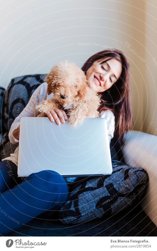 Cute toy poodle with his young owner at home Lifestyle Joy Happy Beautiful House (Residential Structure) Sofa Cellphone PDA Notebook Technology Human being