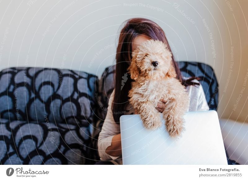 Cute toy poodle with his young owner at home Lifestyle Joy Happy Beautiful House (Residential Structure) Sofa Cellphone PDA Computer Notebook Technology