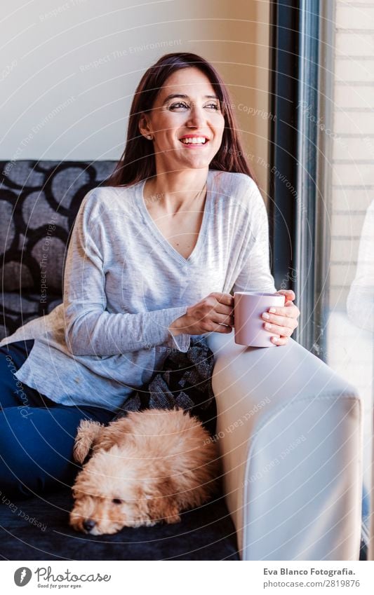 portrait of Cute toy poodle with his owner at home Coffee Lifestyle Joy Happy Beautiful Leisure and hobbies Freedom House (Residential Structure) Sofa