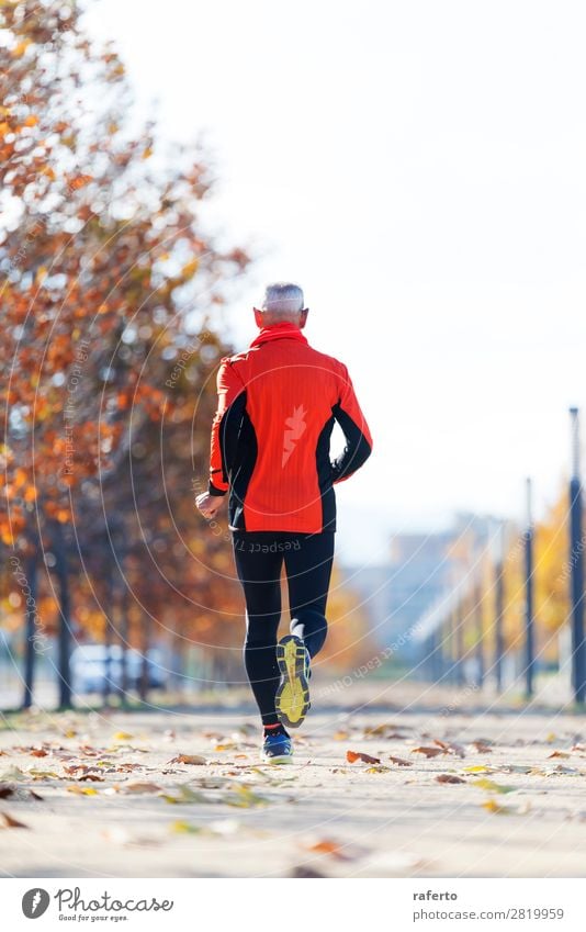 Rear view of a senior man in sport clothes jogging in the park Lifestyle Sports Jogging Human being Masculine Man Adults Male senior 1 60 years and older