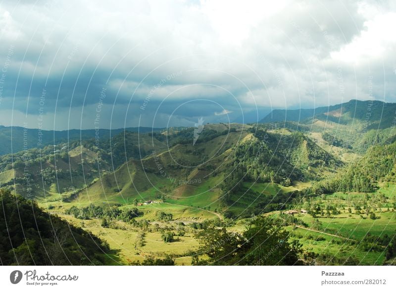 Home of coffee Nature Landscape Plant Clouds Virgin forest Hill Mountain Colombia South America Discover Looking Green Contentment Idyll Coffee Salento